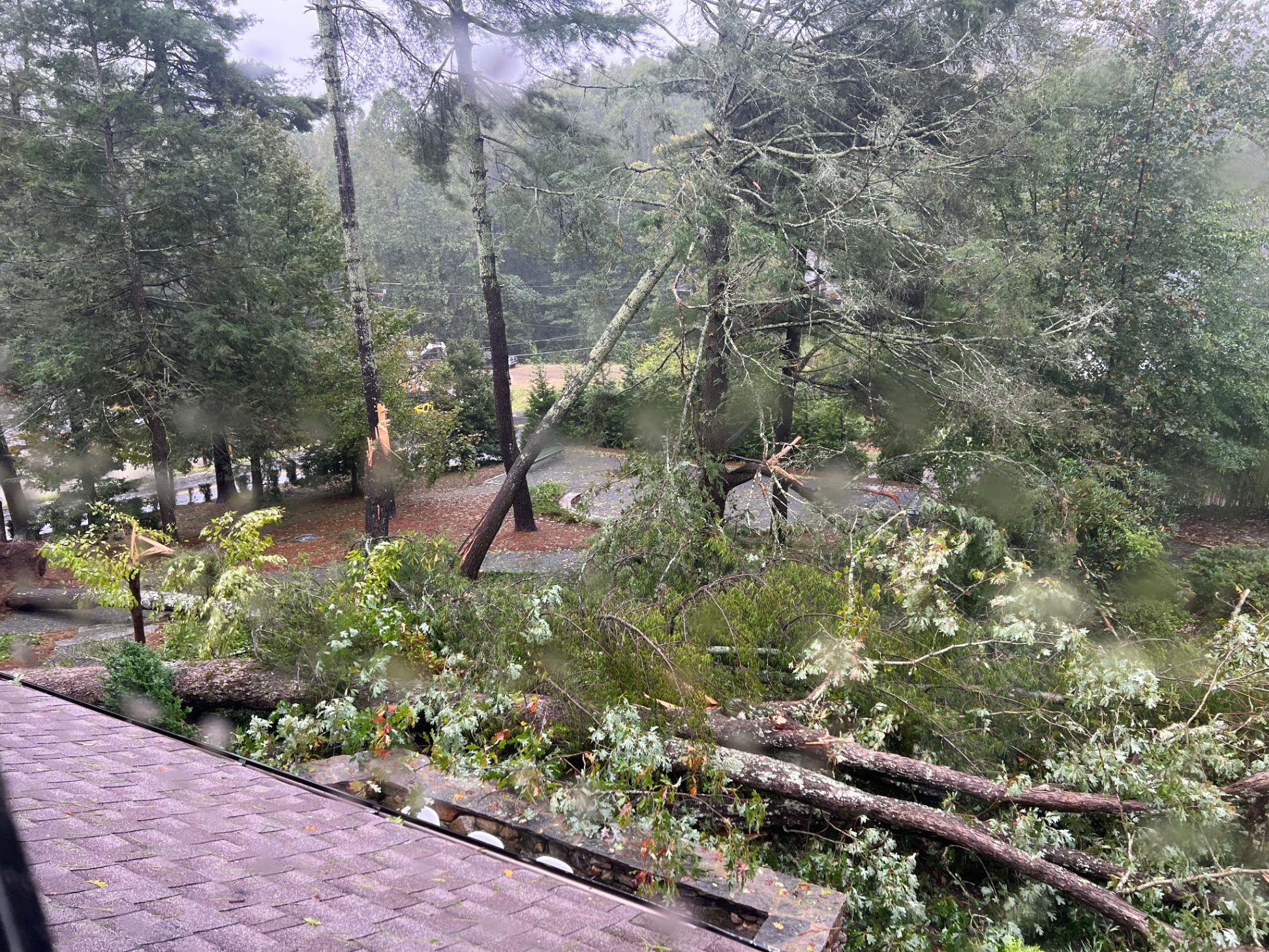 Resilience After Hurricane Helene
