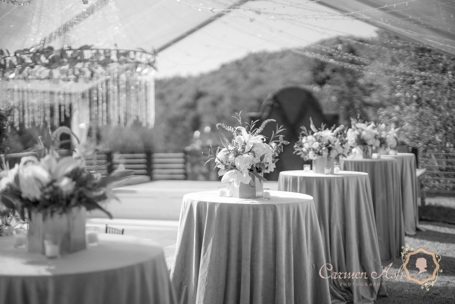 Wedding at The Saluda Inn — historic inn wedding venue Saluda NC