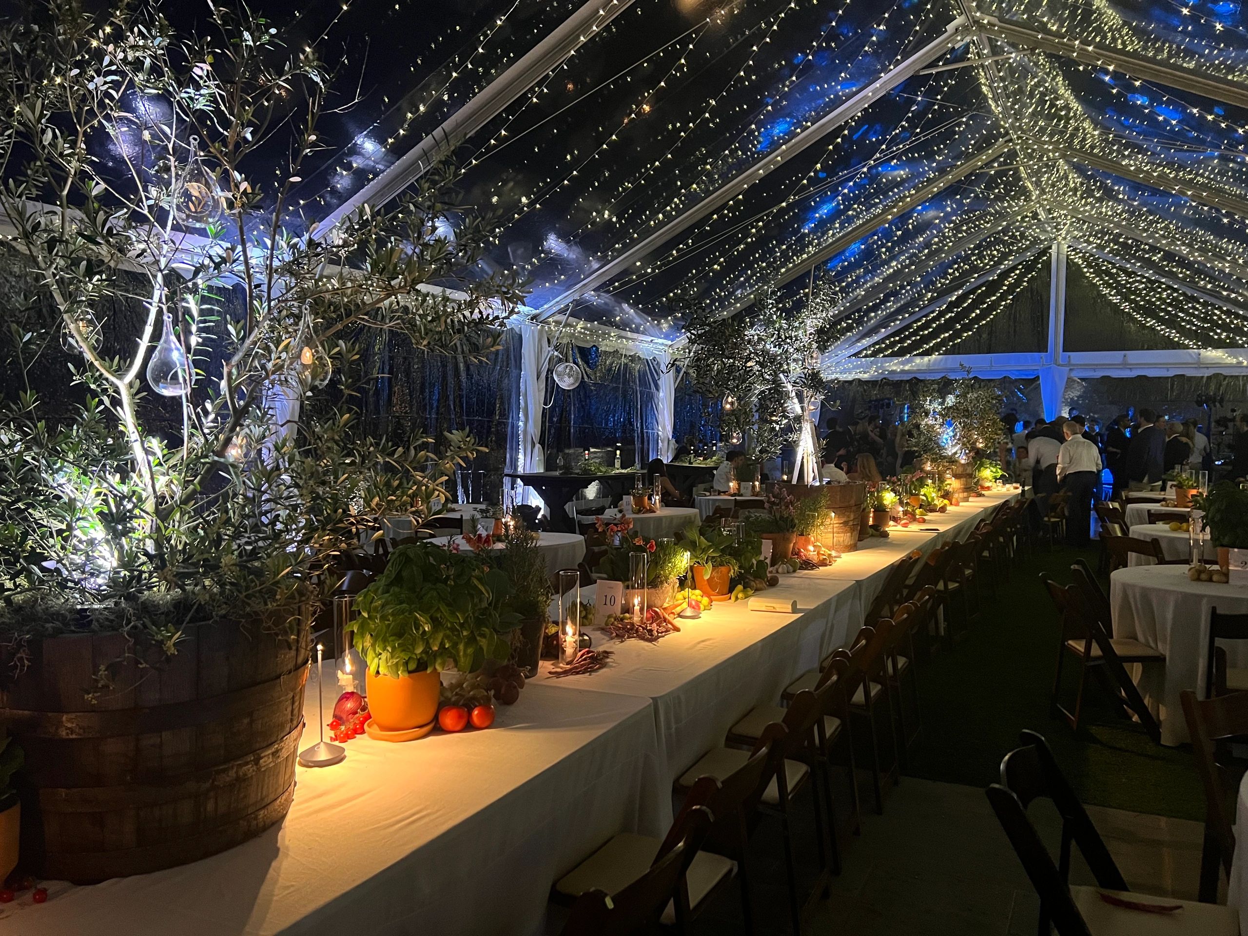 Wedding celebration at The Saluda Inn — boutique hotel wedding venue NC mountains
